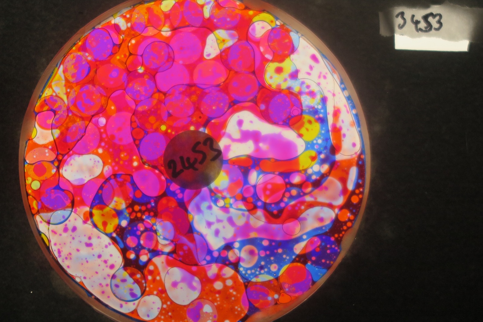 BV3453 bubble vision oil wheel